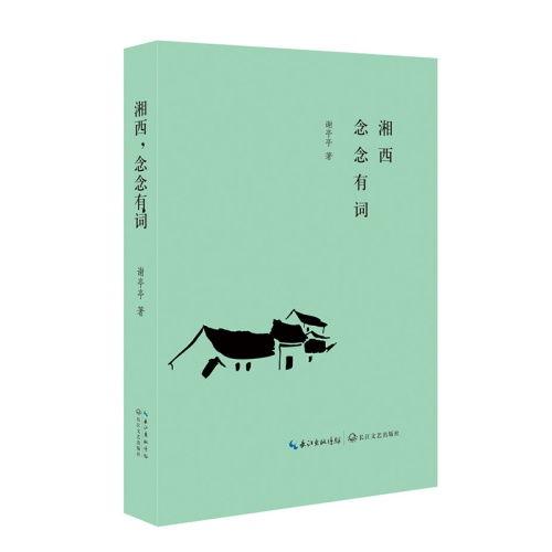 念念有词,探寻语言的力量与魅力