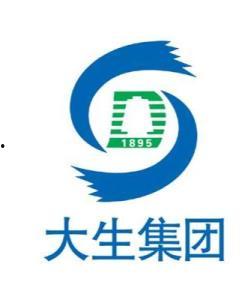 大集团,引领行业变革的领军力量