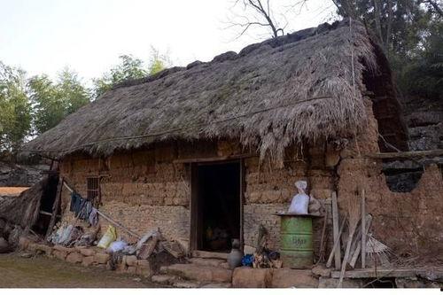 开局一间破草屋，我靠养娃系统致富,养娃系统助力逆袭人生