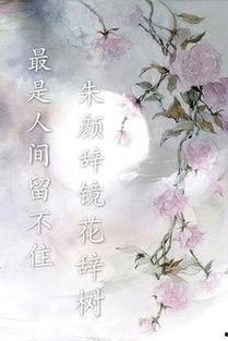 零落花如许,春意盎然的诗意漫步